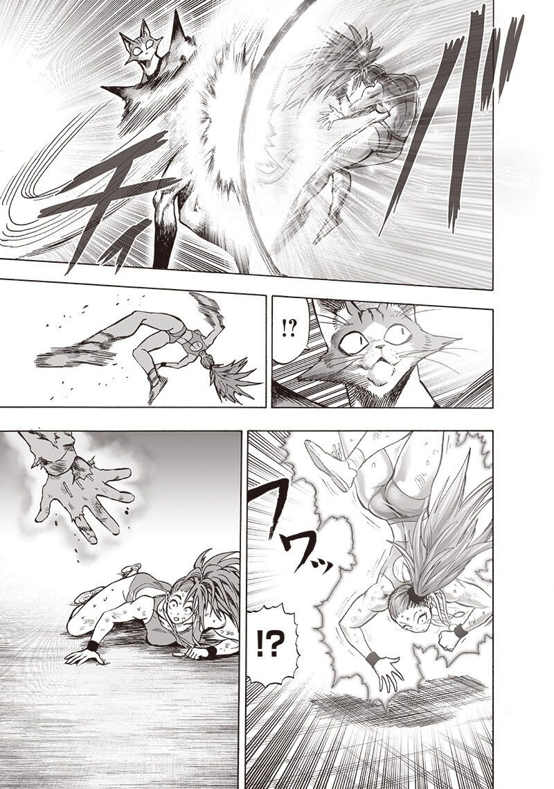 Read One Punch-Man TR Manga Online