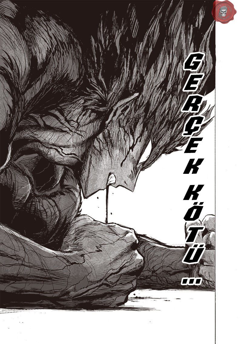 Read One Punch-Man TR Manga Online