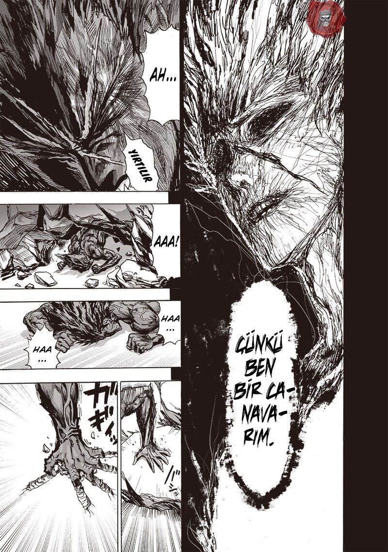 Read One Punch-Man TR Manga Online