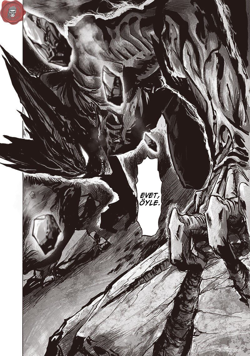 Read One Punch-Man TR Manga Online