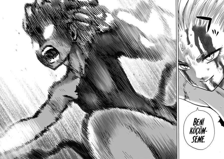 Read One Punch-Man TR Manga Online
