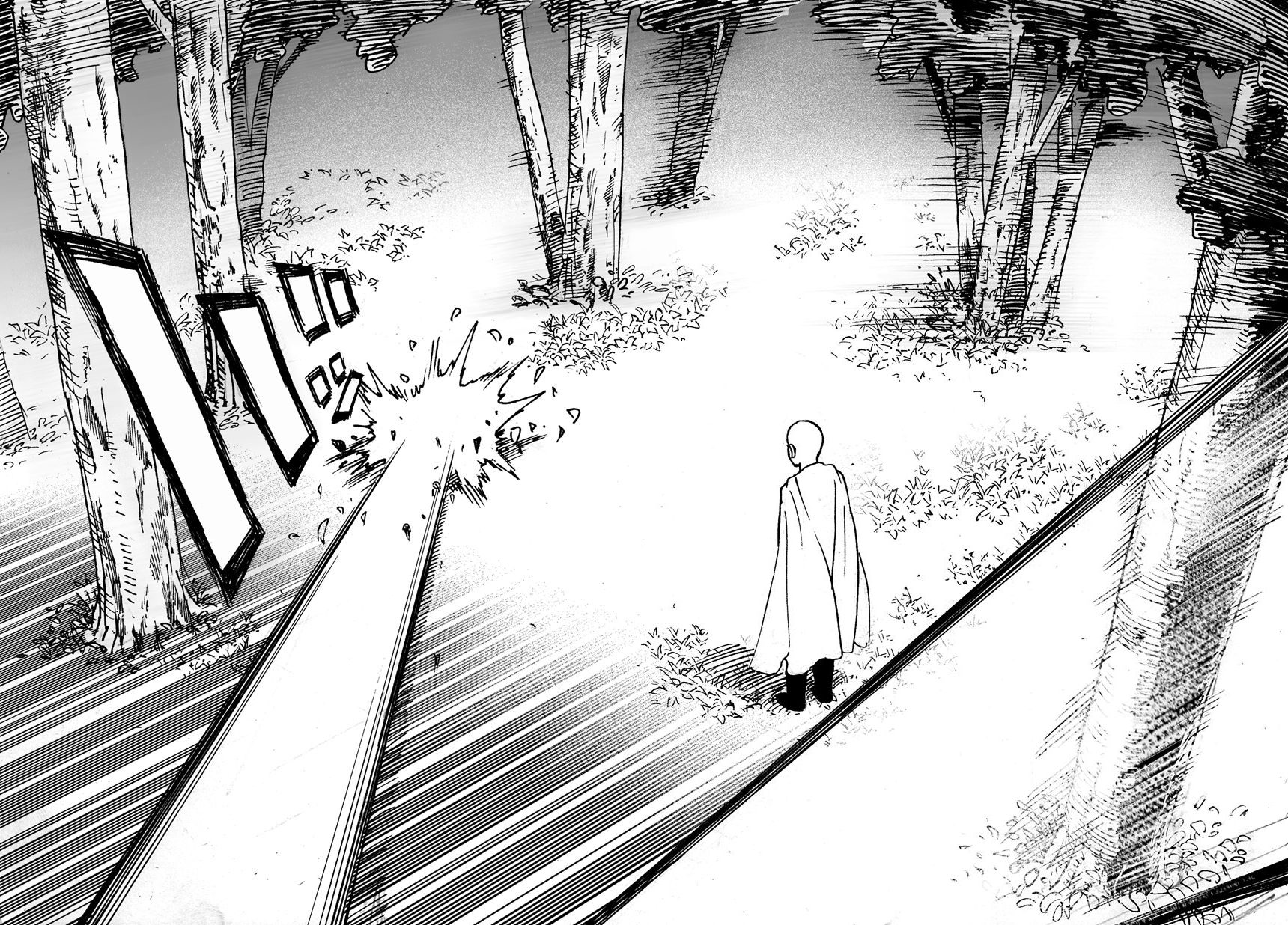 Read One Punch-Man TR Manga Online