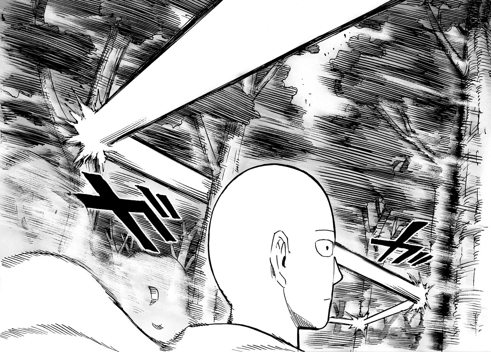 Read One Punch-Man TR Manga Online