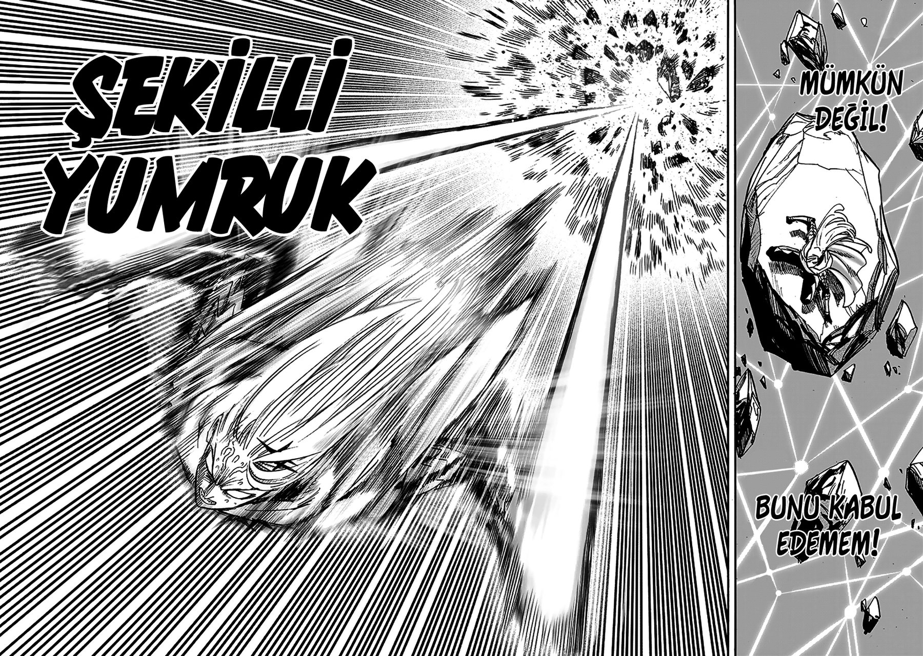 Read One Punch-Man TR Manga Online