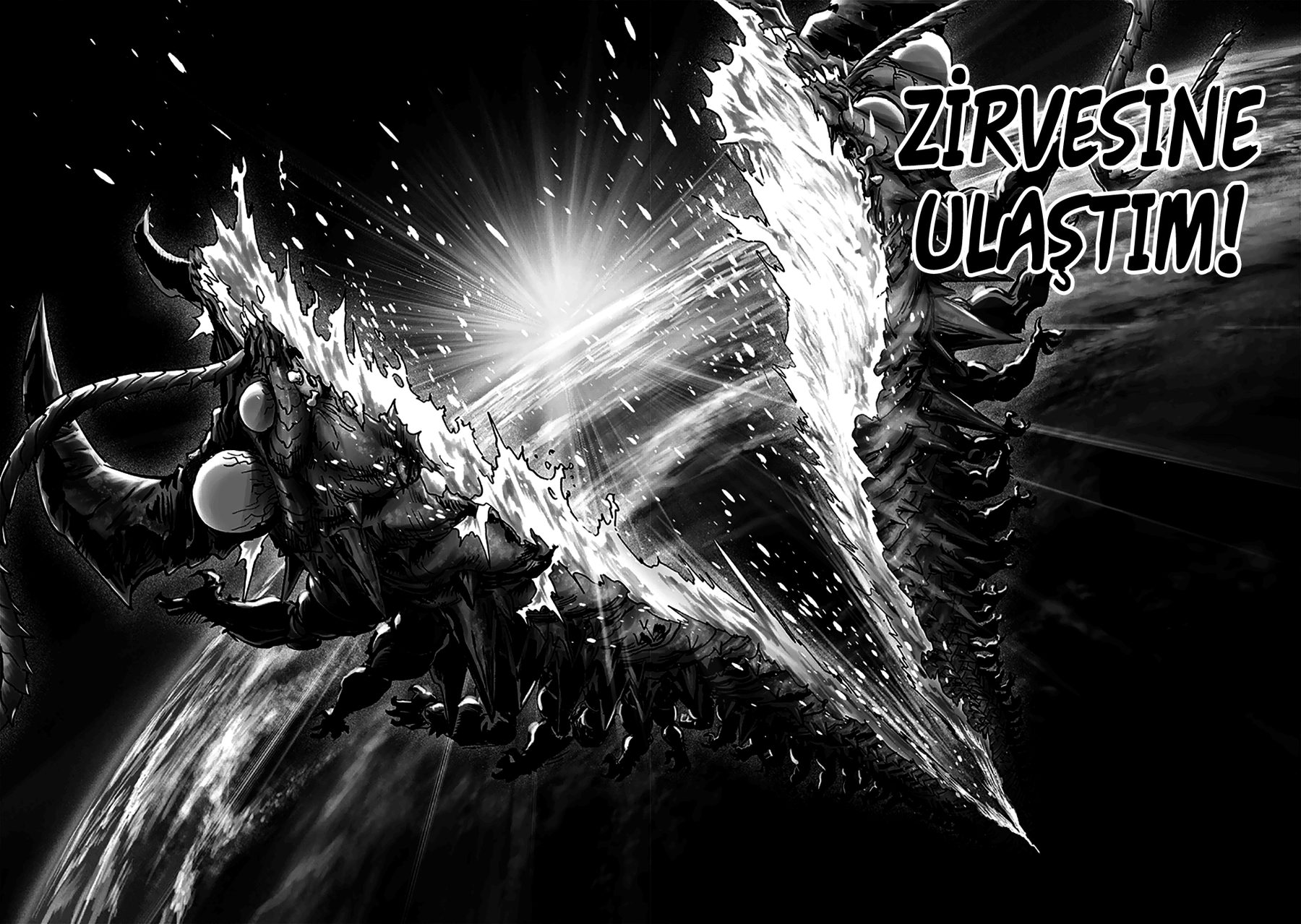 Read One Punch-Man TR Manga Online