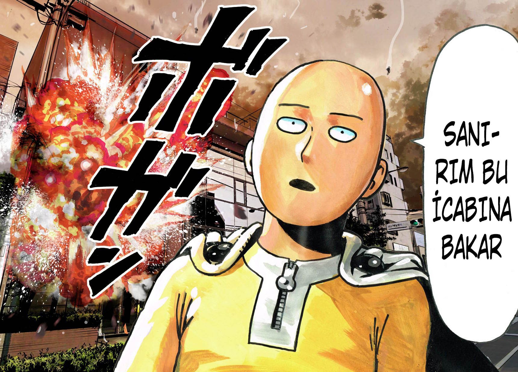 Read One Punch-Man TR Manga Online