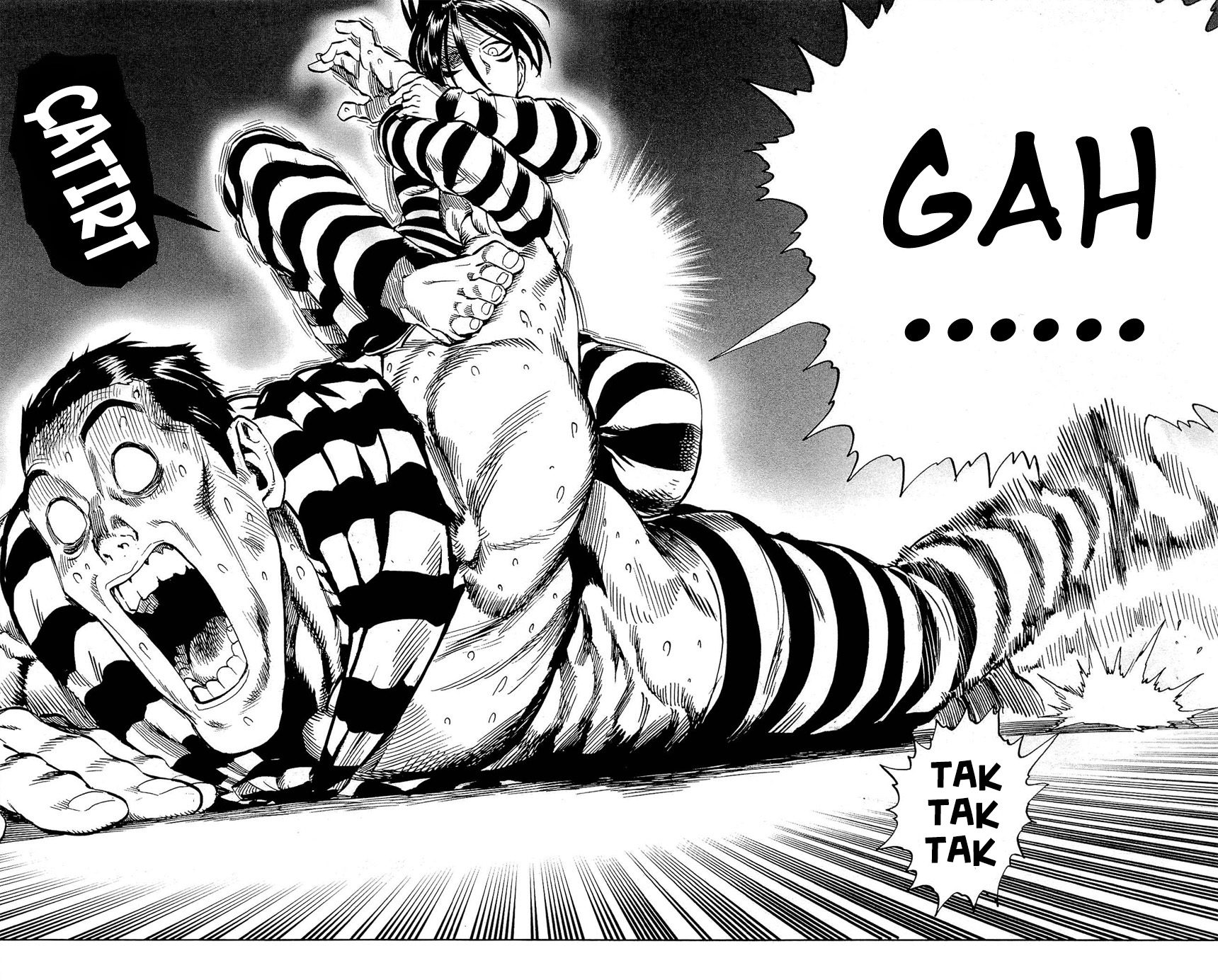 Read One Punch-Man TR Manga Online