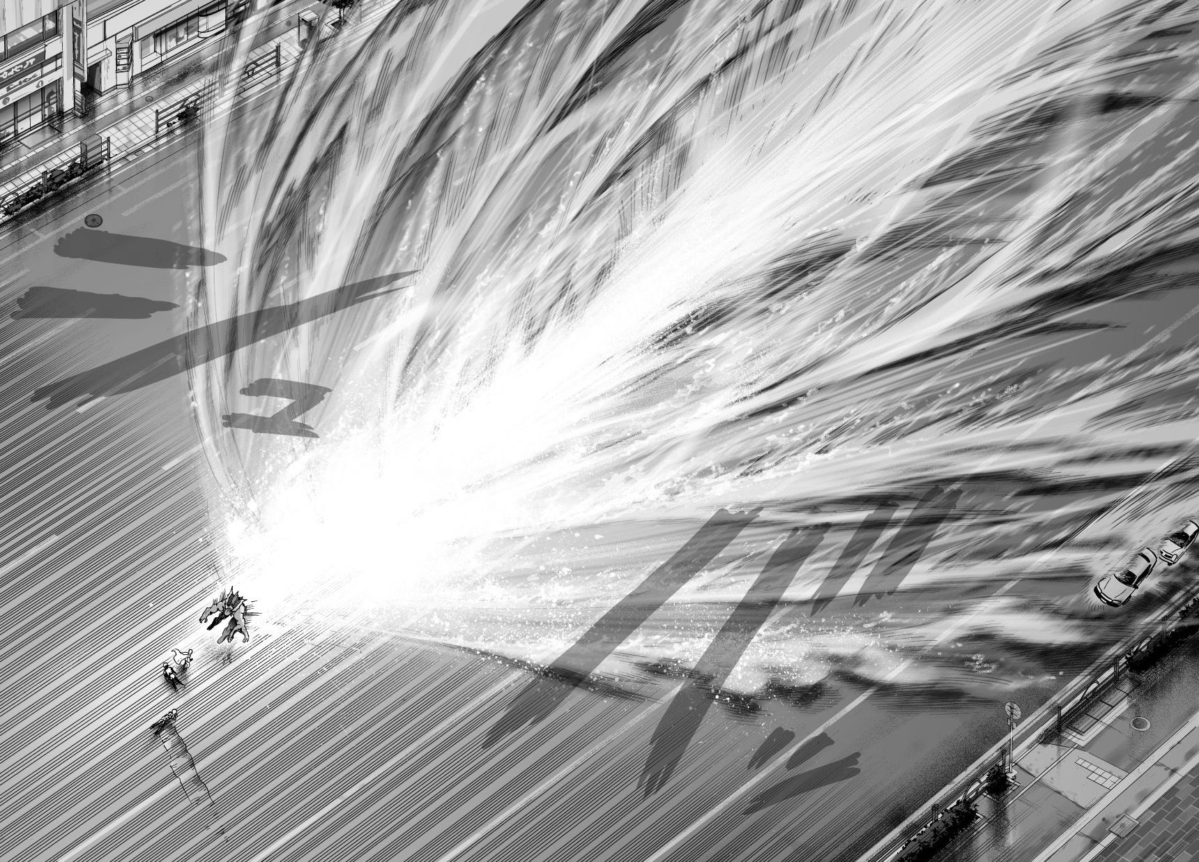 Read One Punch-Man TR Manga Online