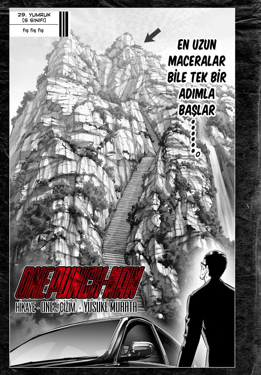 Read One Punch-Man TR Manga Online