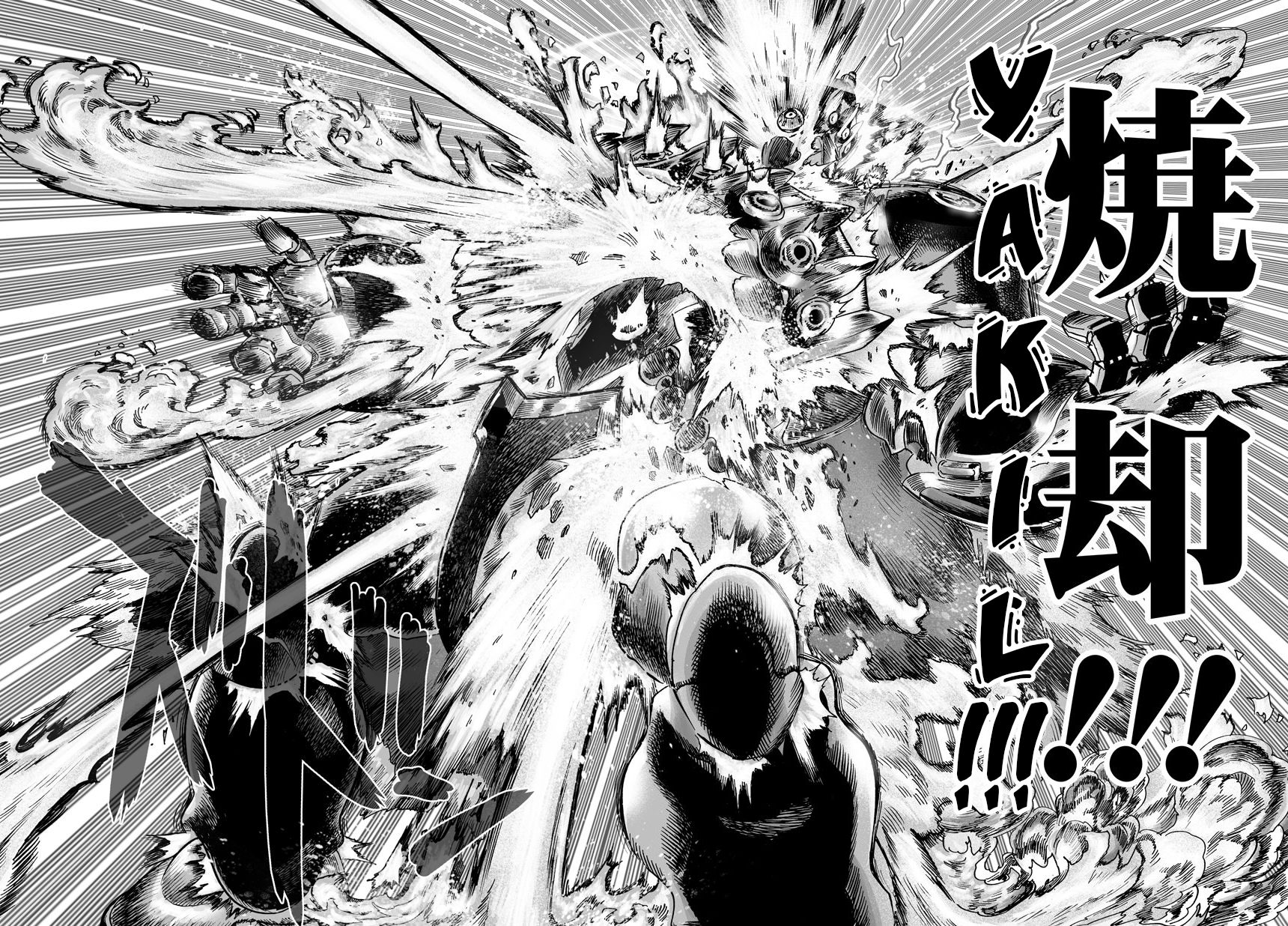 Read One Punch-Man TR Manga Online