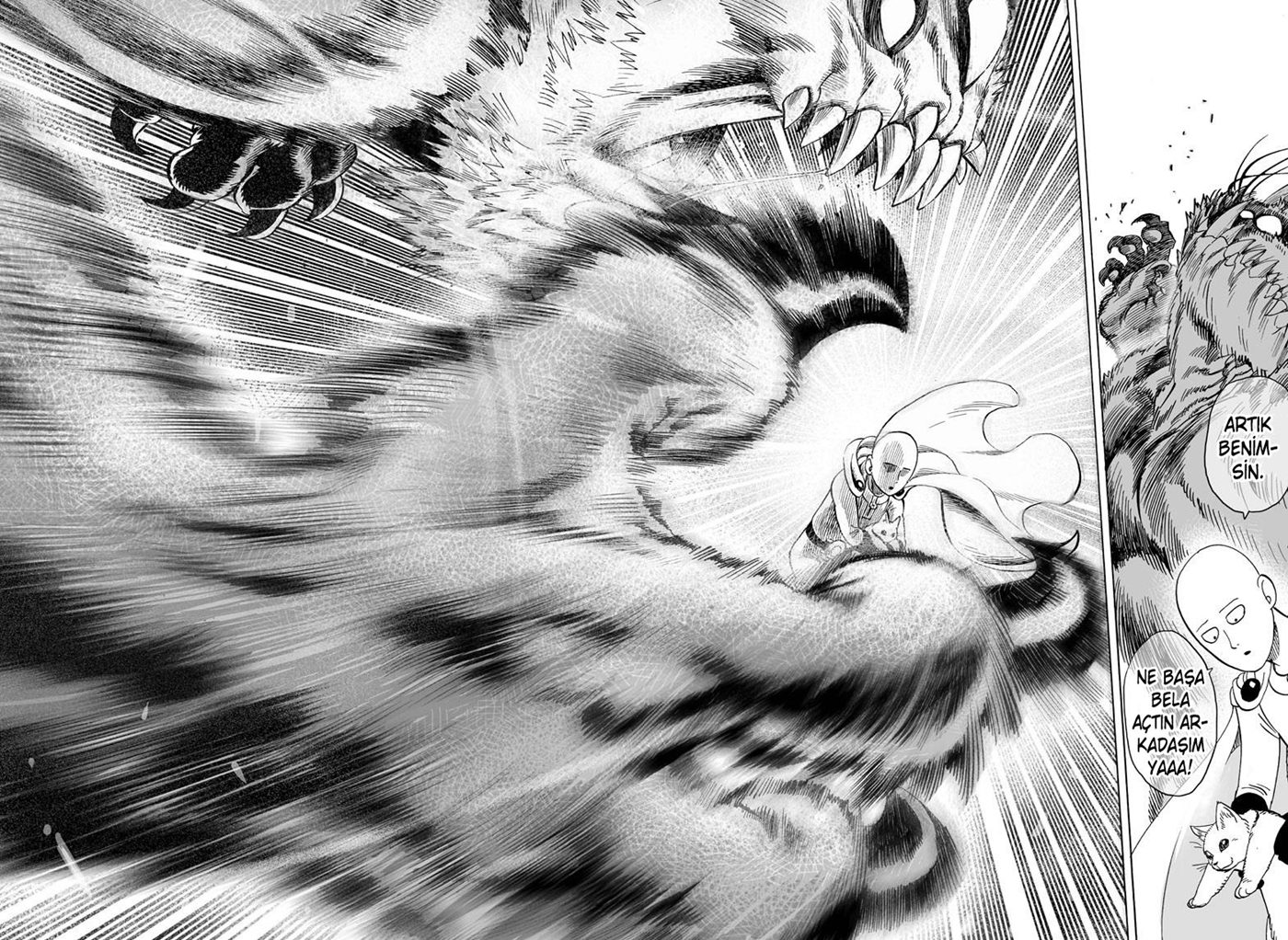 Read One Punch-Man TR Manga Online