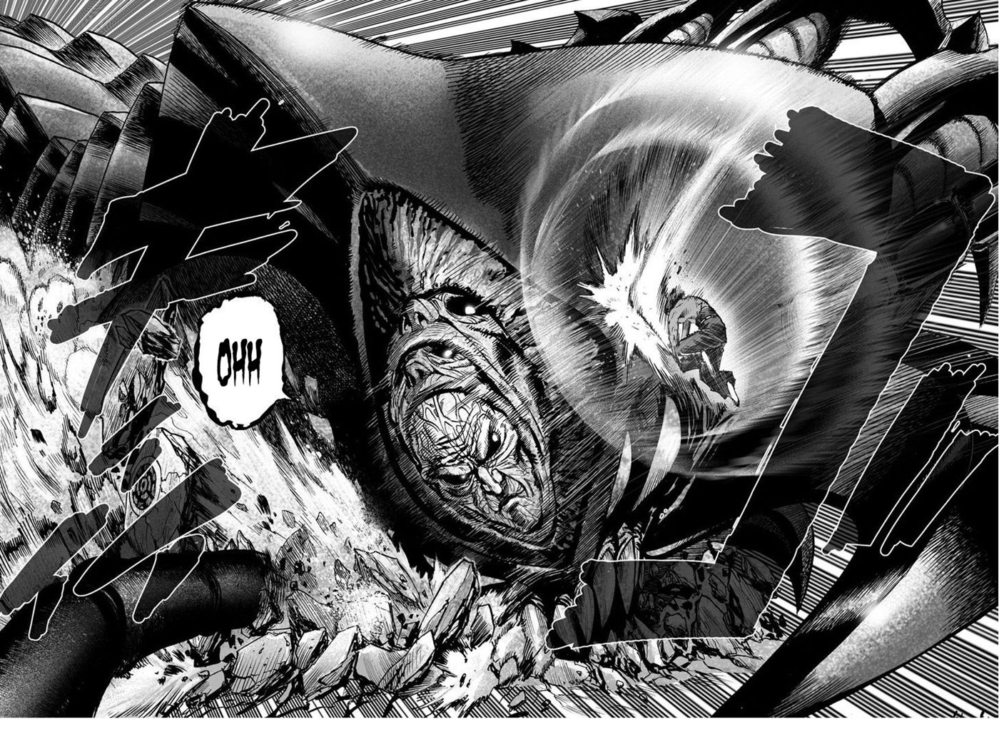 Read One Punch-Man TR Manga Online