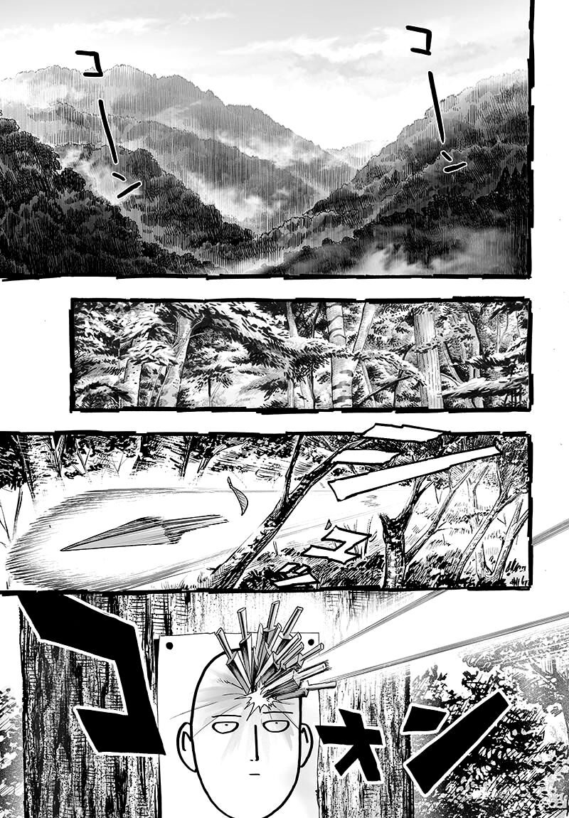 Read One Punch-Man TR Manga Online