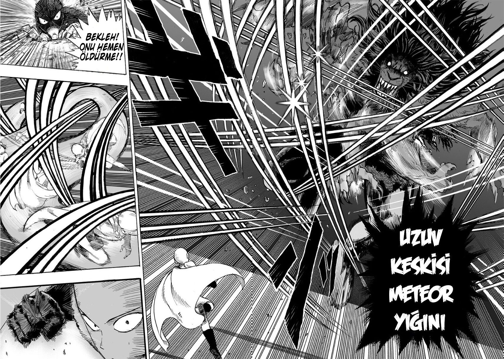 Read One Punch-Man TR Manga Online