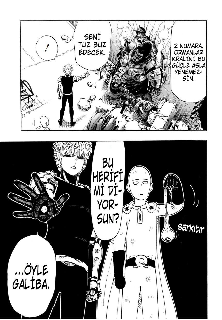 Read One Punch-Man TR Manga Online