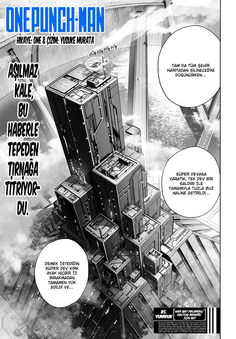 Read One Punch-Man TR Manga Online