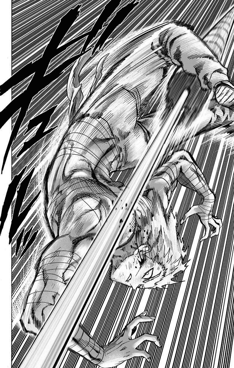 Read One Punch-Man TR Manga Online