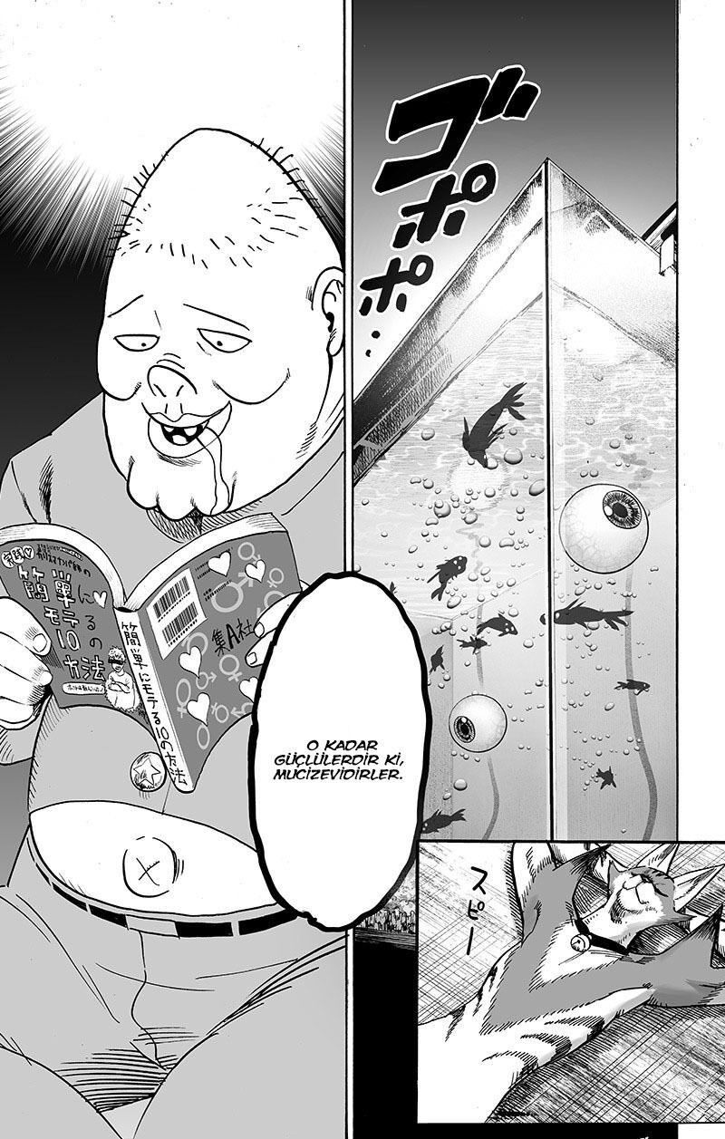 Read One Punch-Man TR Manga Online