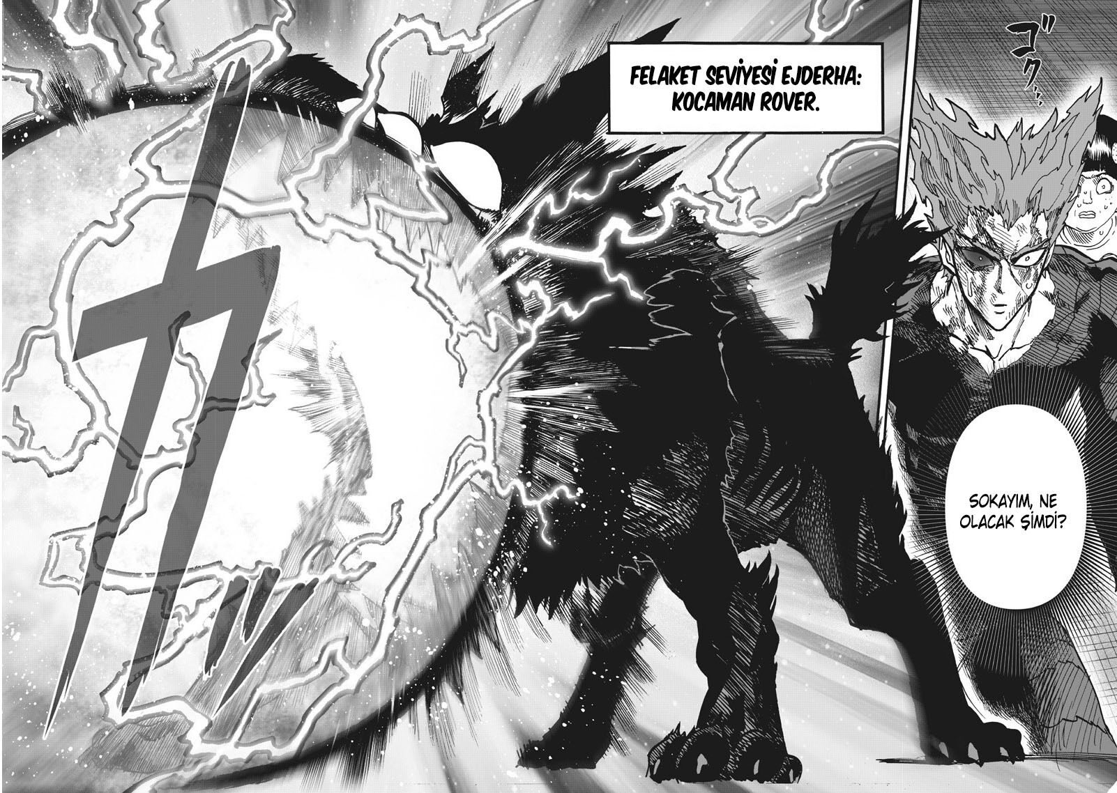 Read One Punch-Man TR Manga Online