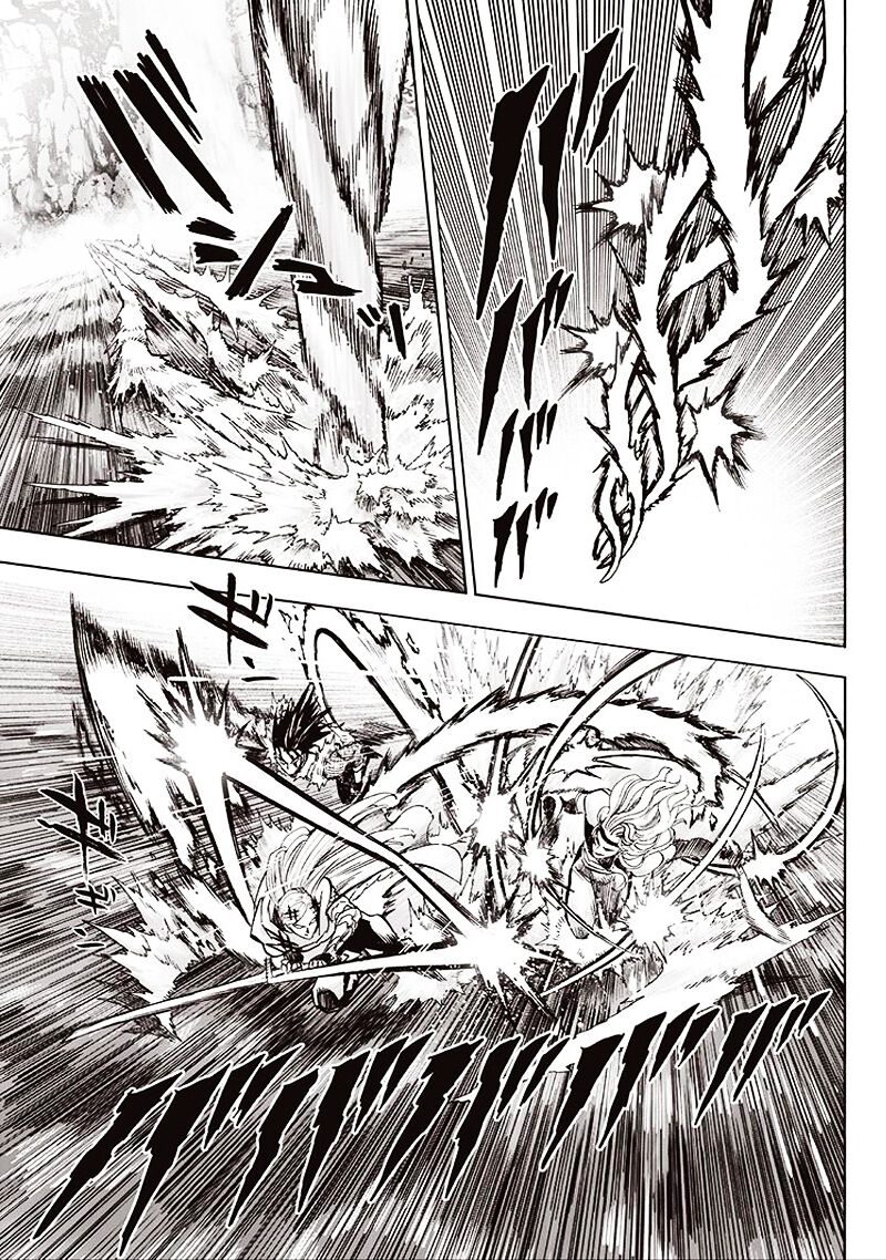 Read One Punch-Man TR Manga Online