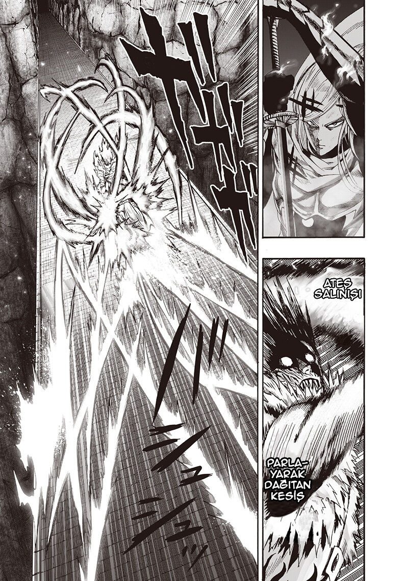 Read One Punch-Man TR Manga Online
