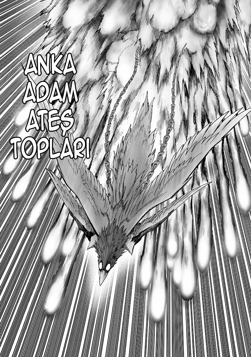 Read One Punch-Man TR Manga Online