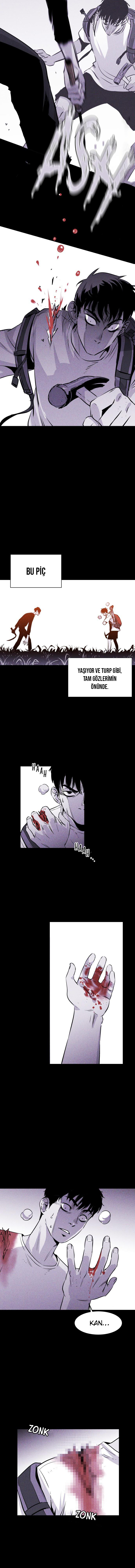 Read Pigpen TR Manga Online