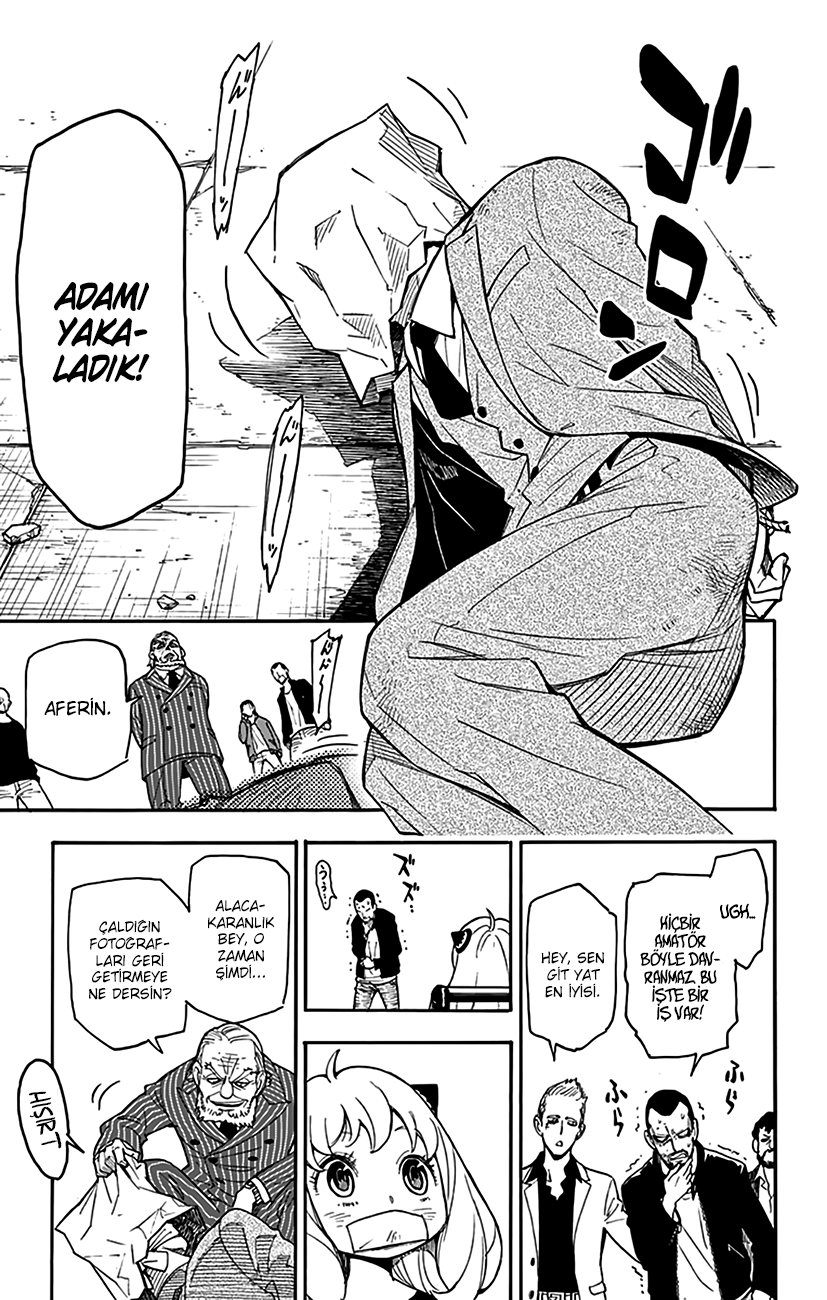 Read SPYxFAMILY TR Manga Online