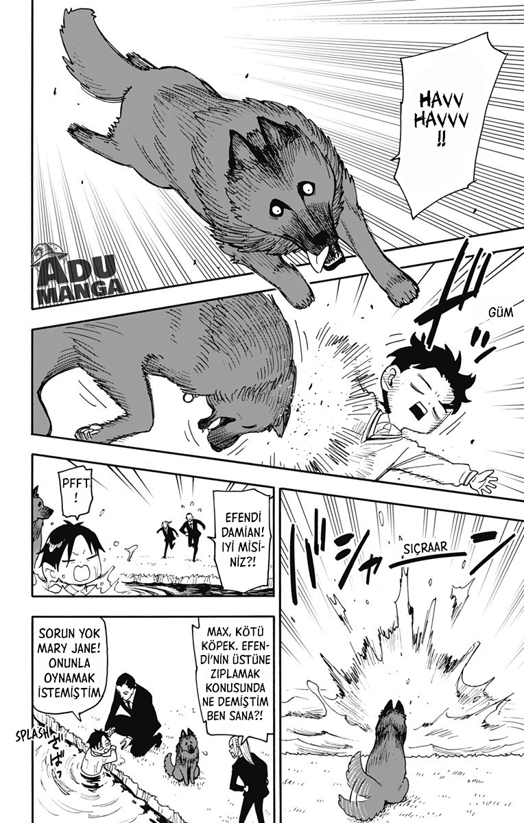 Read SPYxFAMILY TR Manga Online