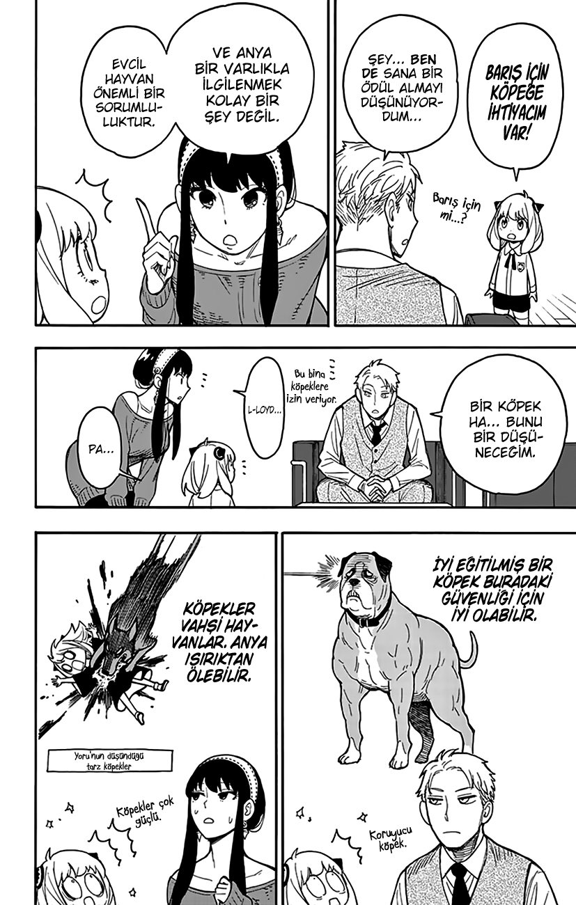 Read SPYxFAMILY TR Manga Online