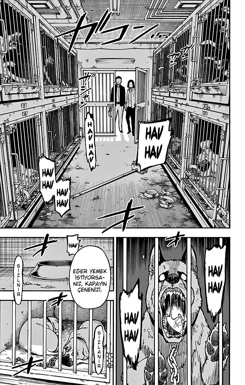 Read SPYxFAMILY TR Manga Online