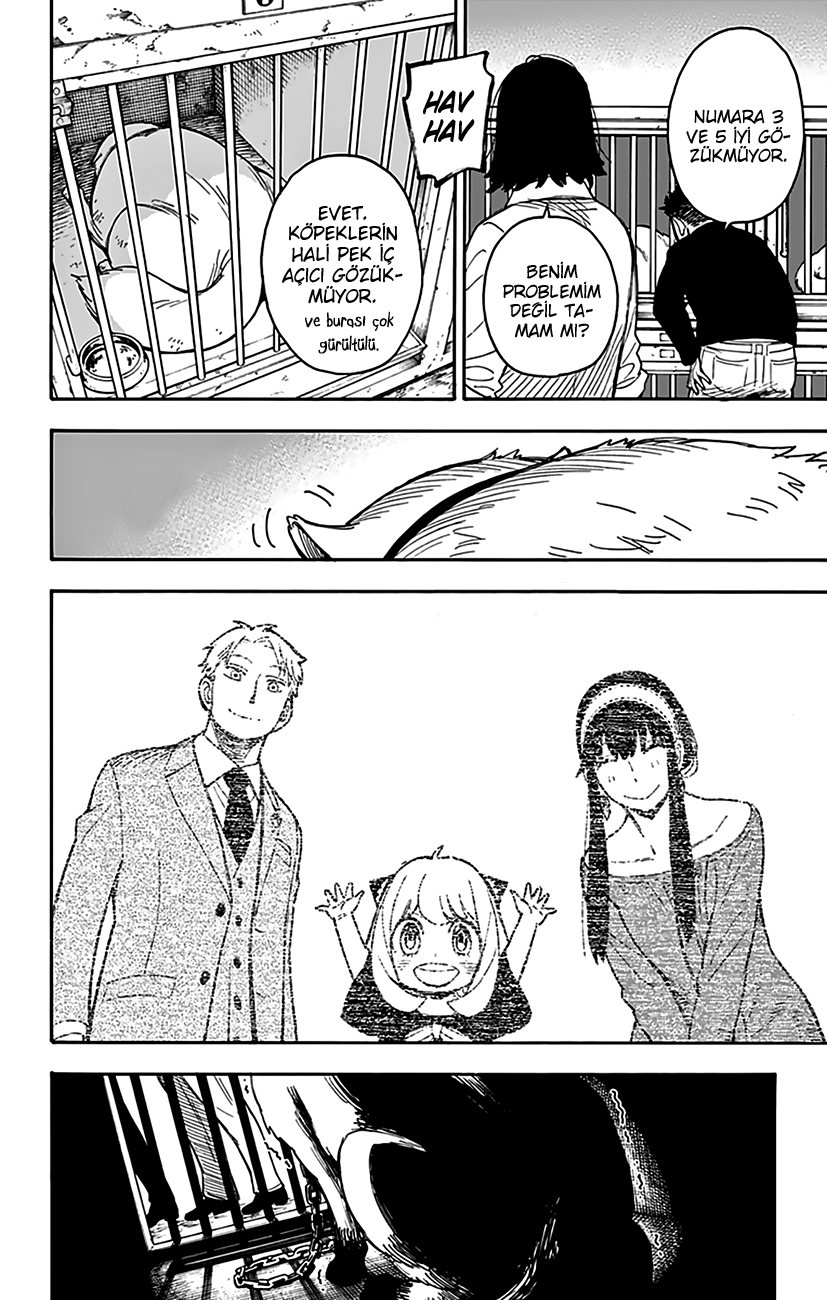 Read SPYxFAMILY TR Manga Online
