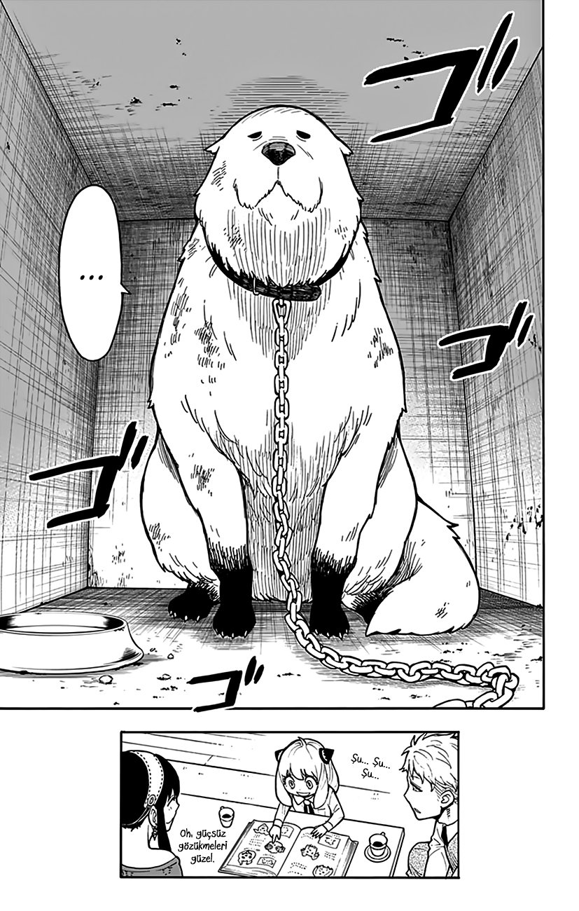 Read SPYxFAMILY TR Manga Online