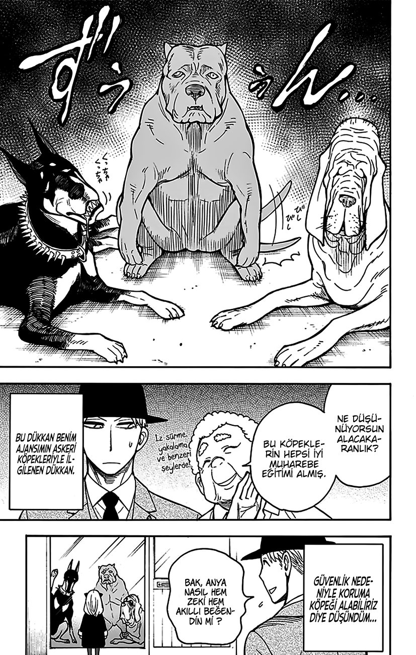 Read SPYxFAMILY TR Manga Online