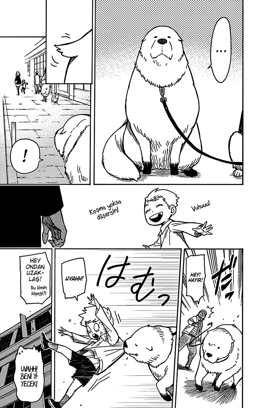 Read SPYxFAMILY TR Manga Online
