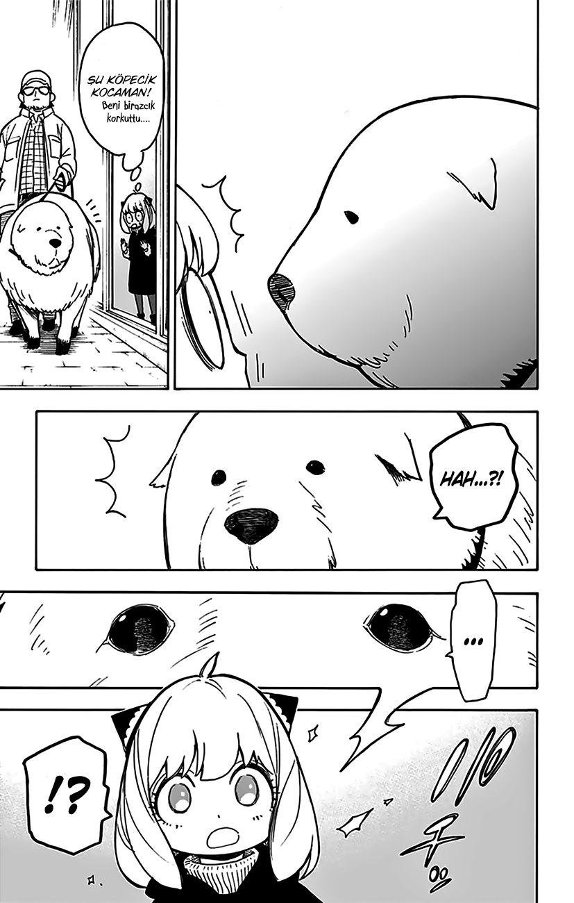 Read SPYxFAMILY TR Manga Online