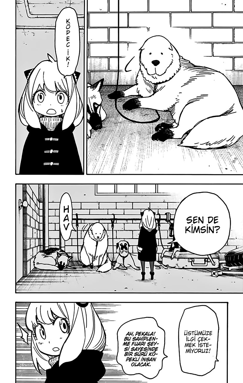 Read SPYxFAMILY TR Manga Online