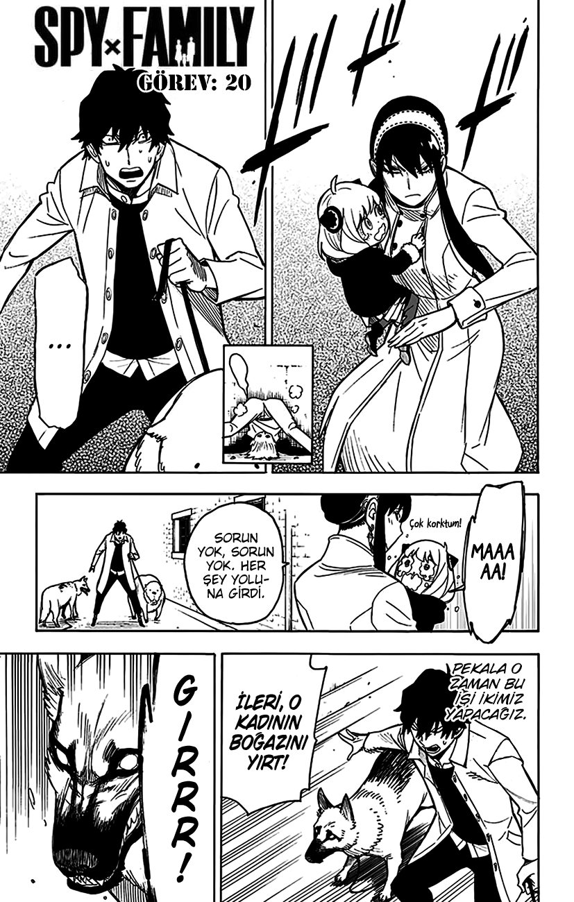 Read SPYxFAMILY TR Manga Online