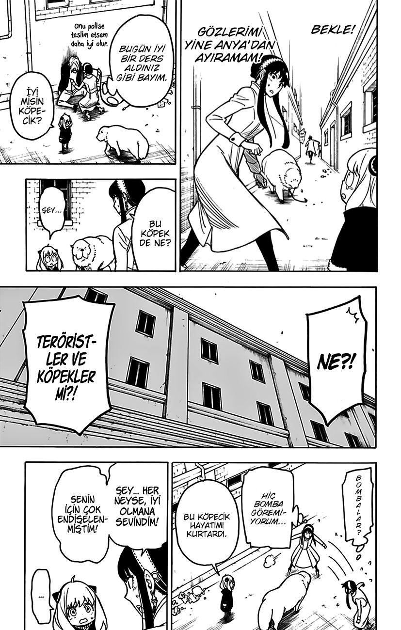 Read SPYxFAMILY TR Manga Online