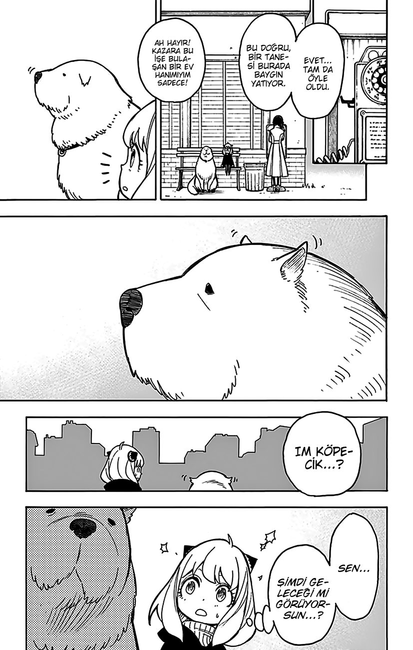 Read SPYxFAMILY TR Manga Online