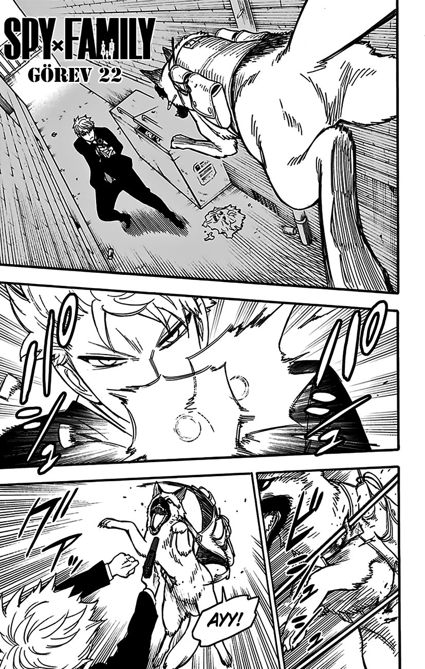 Read SPYxFAMILY TR Manga Online