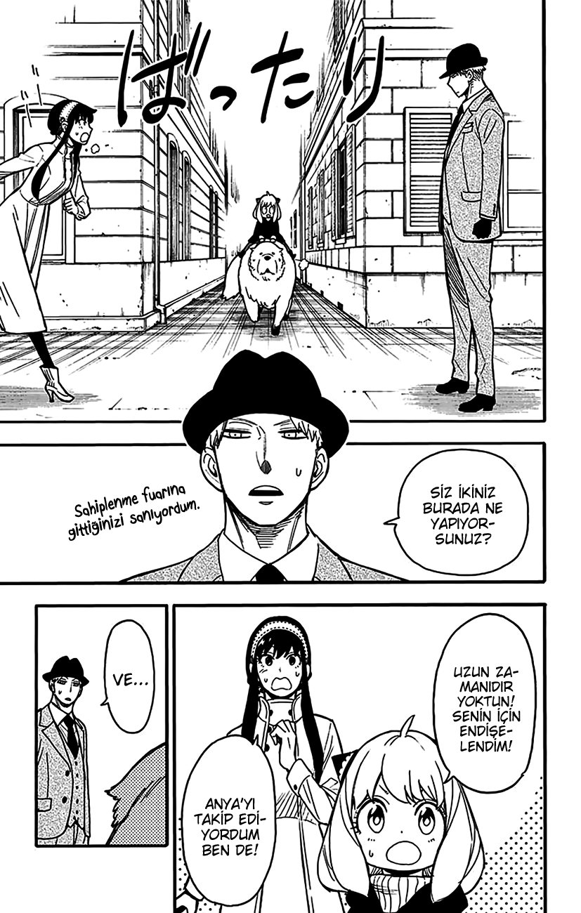 Read SPYxFAMILY TR Manga Online