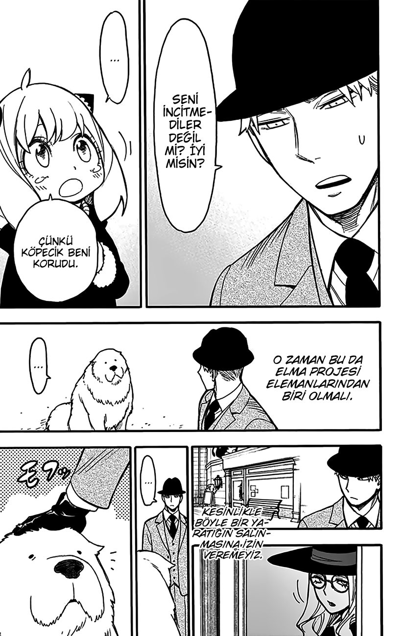 Read SPYxFAMILY TR Manga Online