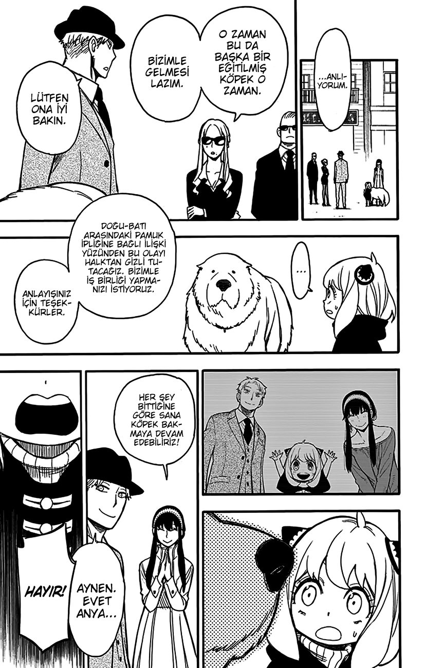 Read SPYxFAMILY TR Manga Online