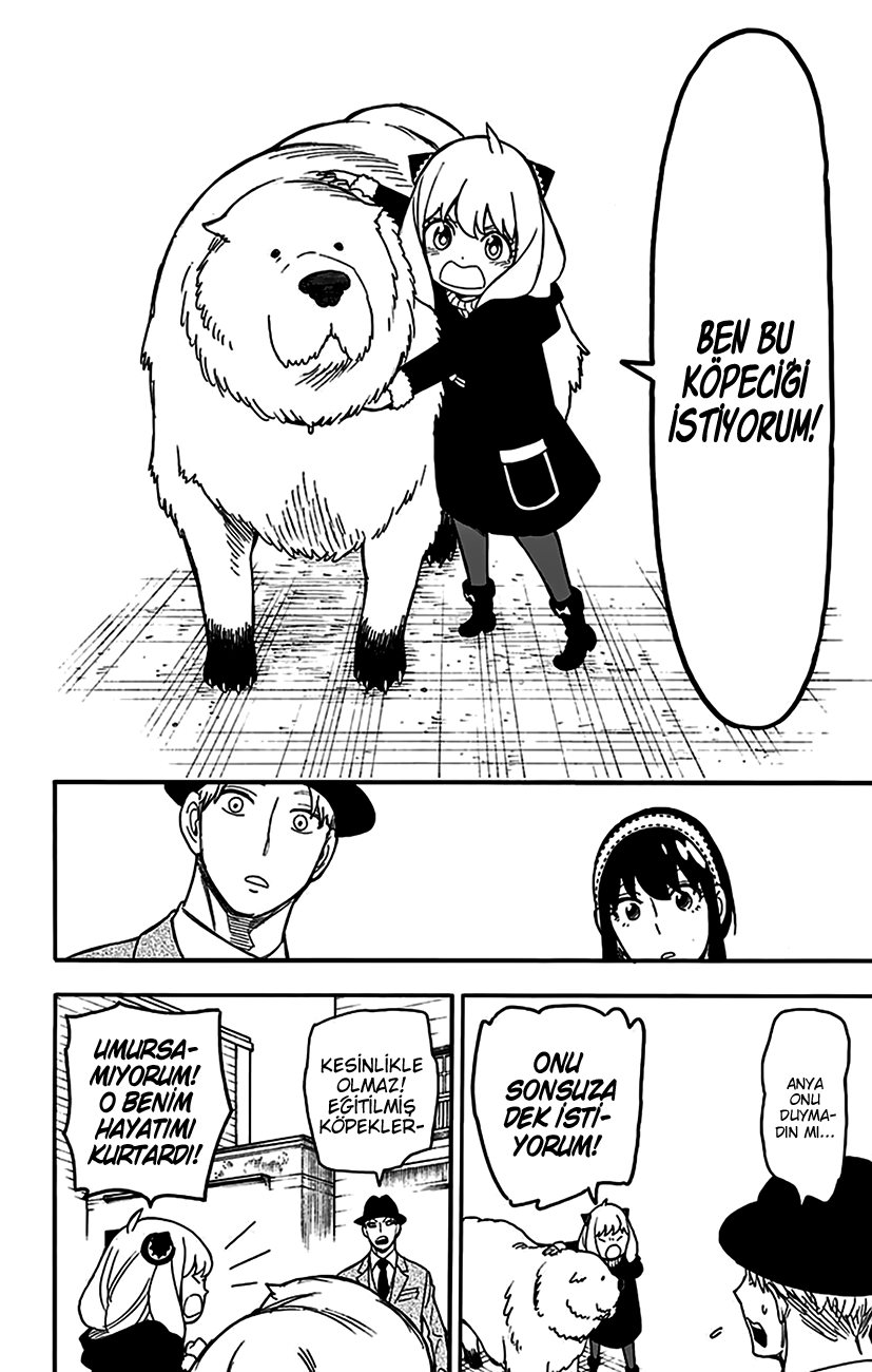 Read SPYxFAMILY TR Manga Online