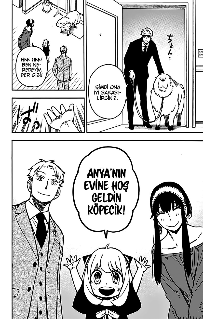 Read SPYxFAMILY TR Manga Online