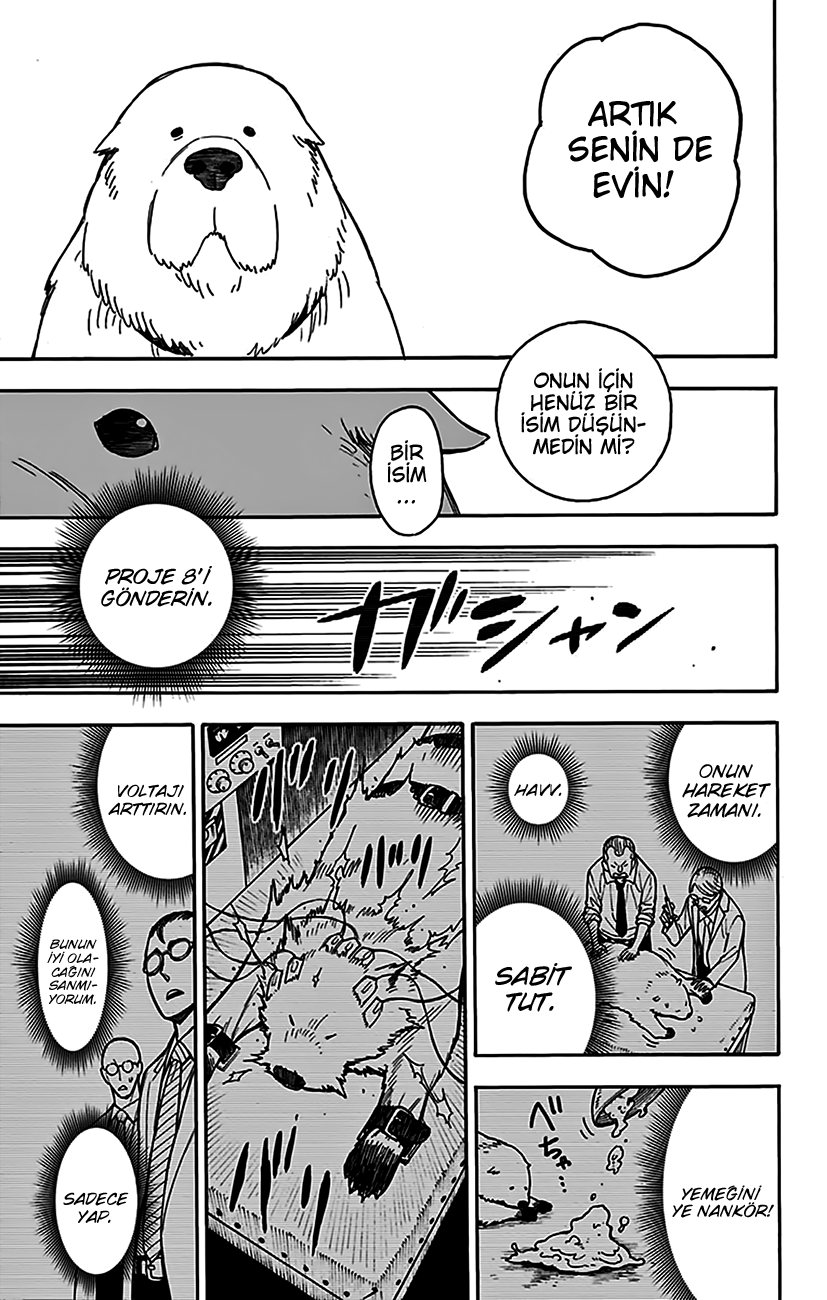 Read SPYxFAMILY TR Manga Online