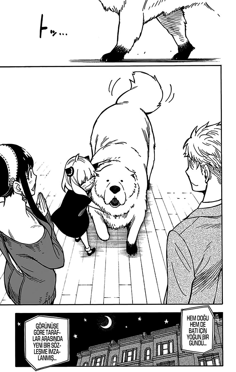 Read SPYxFAMILY TR Manga Online