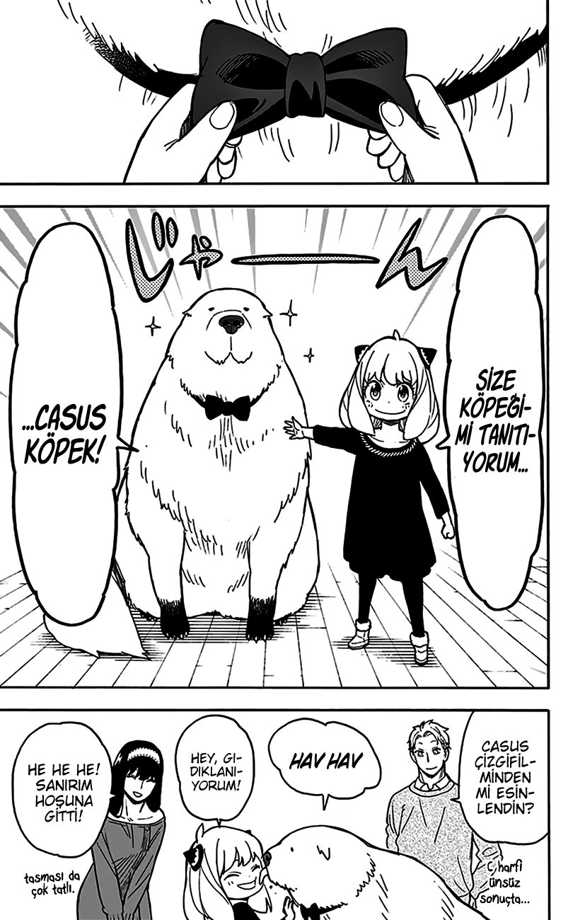 Read SPYxFAMILY TR Manga Online