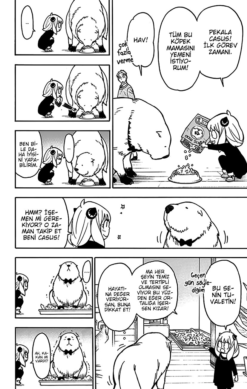 Read SPYxFAMILY TR Manga Online
